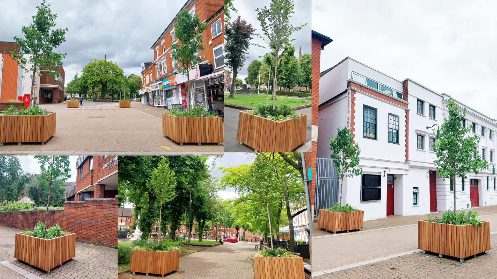 A collage of images of Redditch showing the new trees