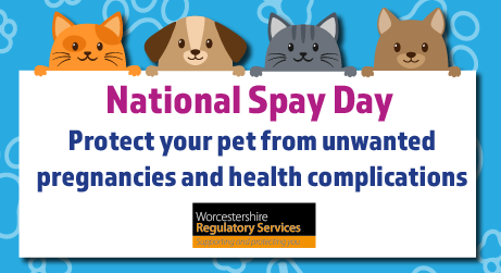 WRS National Spay Day 24